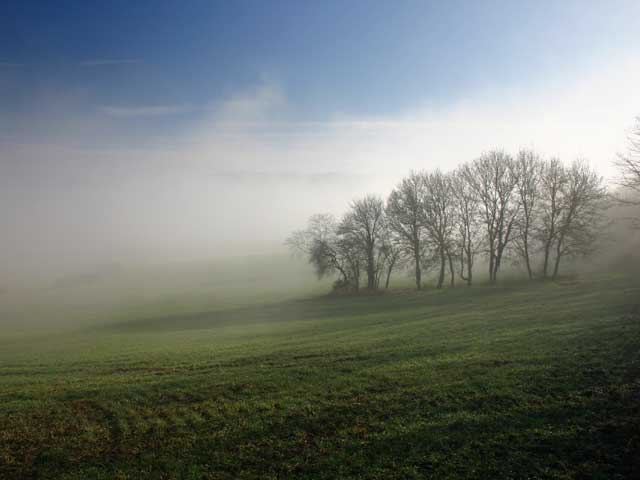 Misty landscape